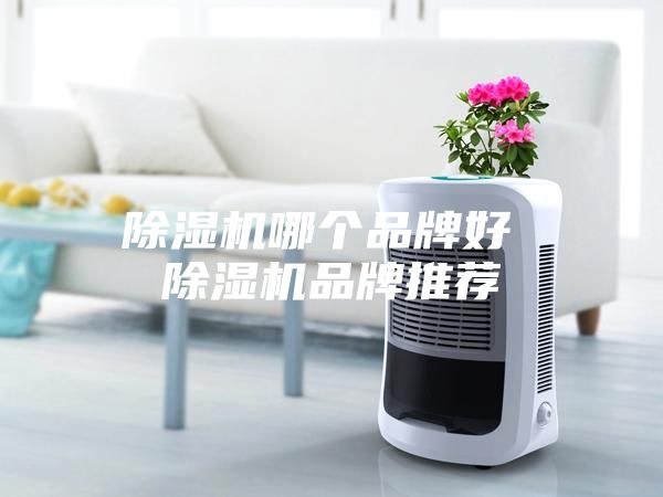 除濕機哪個品牌好 除濕機品牌推薦