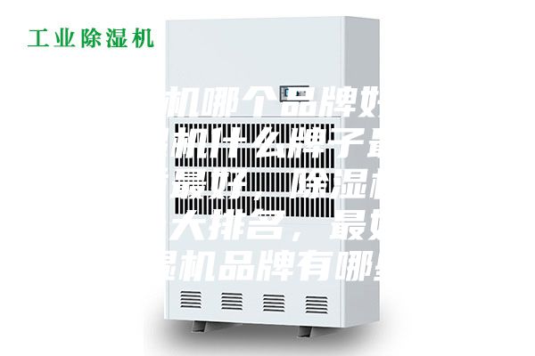 除濕機哪個品牌好用，除濕機什么牌子最好品質最好，除濕機品牌十大排名，最好的除濕機品牌有哪些？