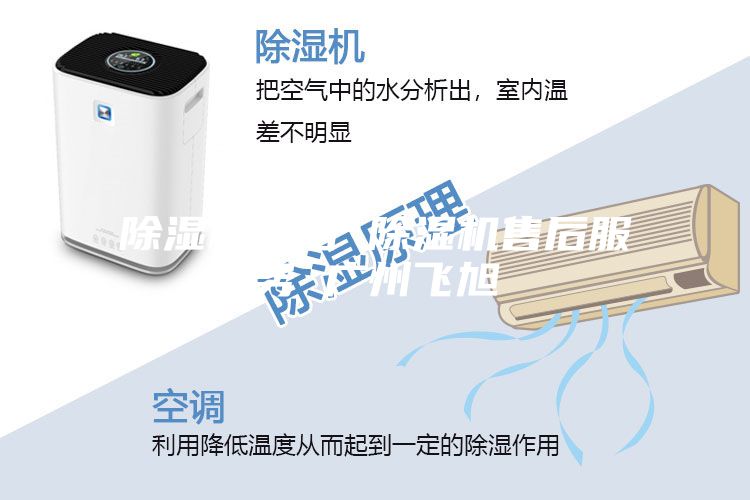 除濕機售后 除濕機售后服務 廣州飛旭