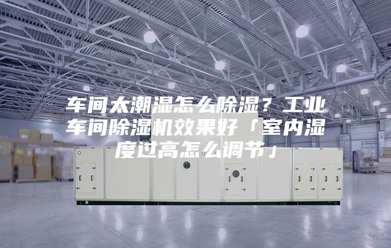 車間太潮濕怎么除濕？工業車間除濕機效果好「室內濕度過高怎么調節」