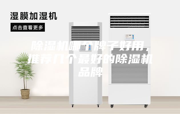 除濕機哪個牌子好用，推薦幾個最好的除濕機品牌