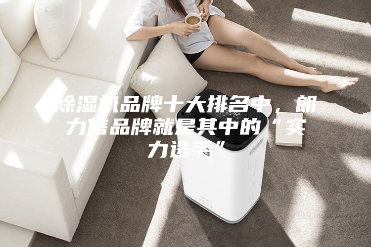 除濕機品牌十大排名中，朗力信品牌就是其中的“實力選手”