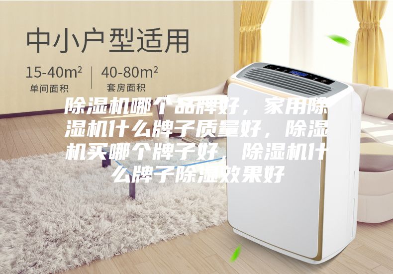 除濕機哪個品牌好，家用除濕機什么牌子質量好，除濕機買哪個牌子好，除濕機什么牌子除濕效果好