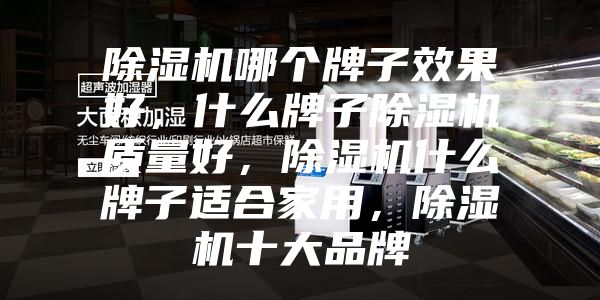 除濕機哪個牌子效果好，什么牌子除濕機質量好，除濕機什么牌子適合家用，除濕機十大品牌