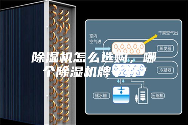 除濕機怎么選購，哪個除濕機牌子好？