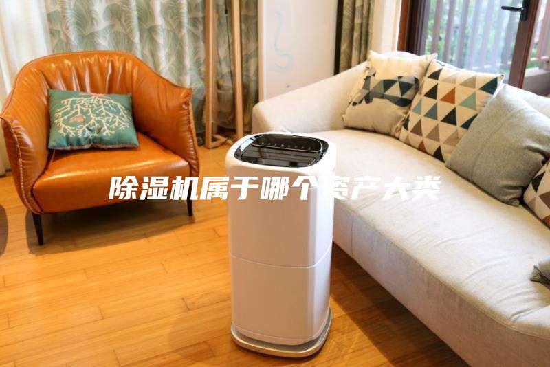 除濕機屬于哪個資產大類