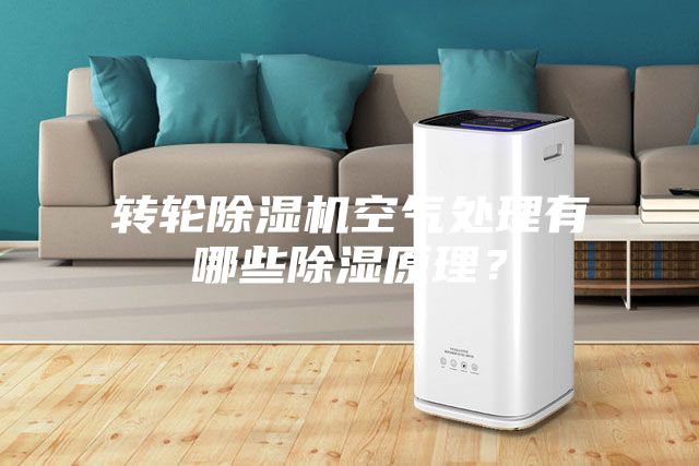 轉輪除濕機空氣處理有哪些除濕原理？