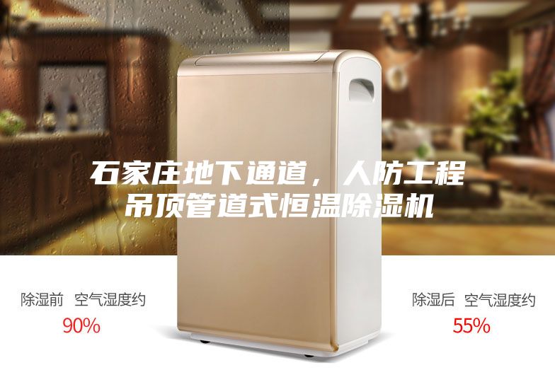 石家莊地下通道，人防工程吊頂管道式恒溫除濕機