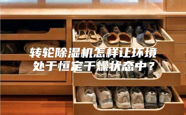 轉輪除濕機怎樣讓環境處于恒定干燥狀態中？