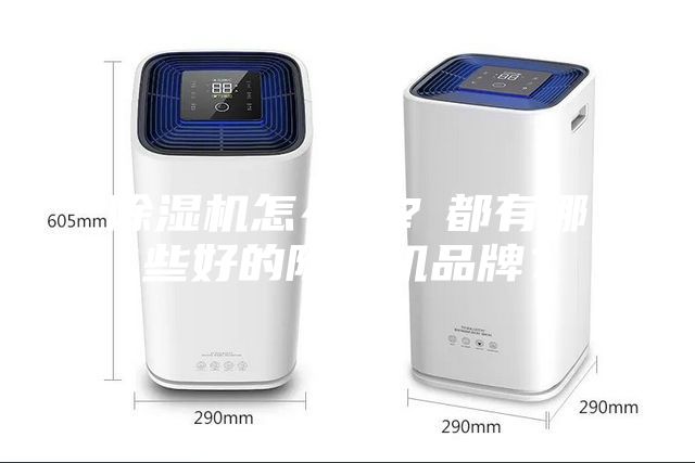 除濕機怎么選？都有哪些好的除濕機品牌？