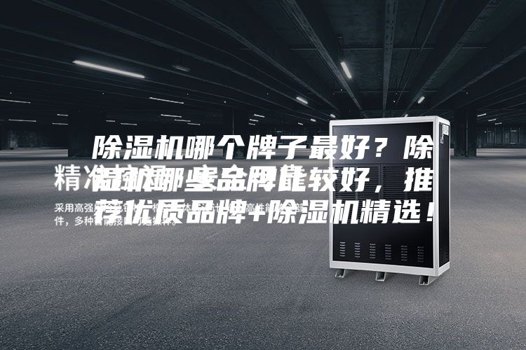 除濕機哪個牌子最好？除濕機哪些品牌比較好，推薦優質品牌+除濕機精選！