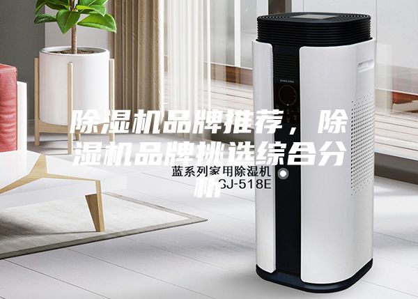 除濕機品牌推薦，除濕機品牌挑選綜合分析