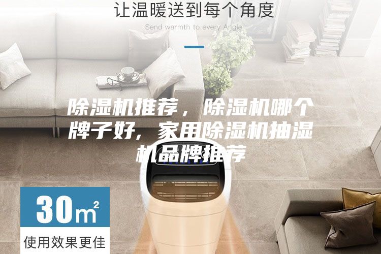 除濕機推薦，除濕機哪個牌子好, 家用除濕機抽濕機品牌推薦