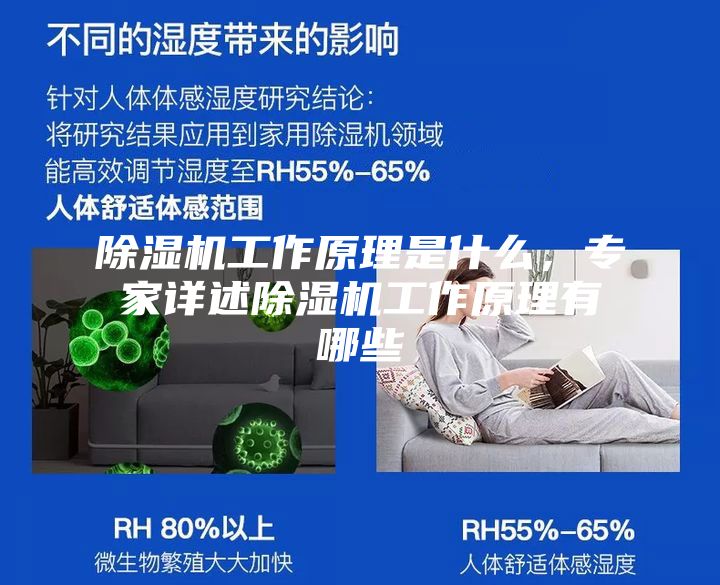 除濕機工作原理是什么，專家詳述除濕機工作原理有哪些