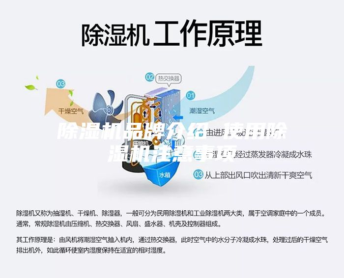 除濕機品牌介紹 使用除濕機注意事項