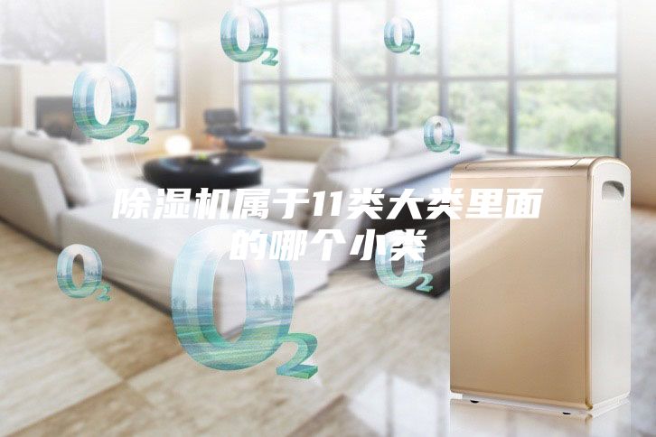 除濕機屬于11類大類里面的哪個小類