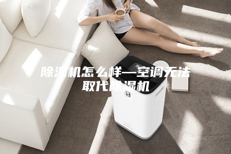 除濕機怎么樣—空調無法取代除濕機