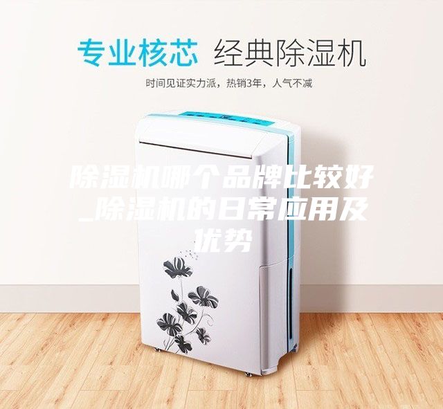除濕機哪個品牌比較好_除濕機的日常應用及優勢