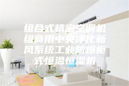 組合式精密空調機組商用中央凈化新風系統工業防爆柜式恒溫恒濕機