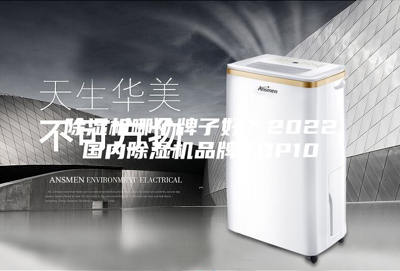 除濕機哪個牌子好？2022國內除濕機品牌TOP10
