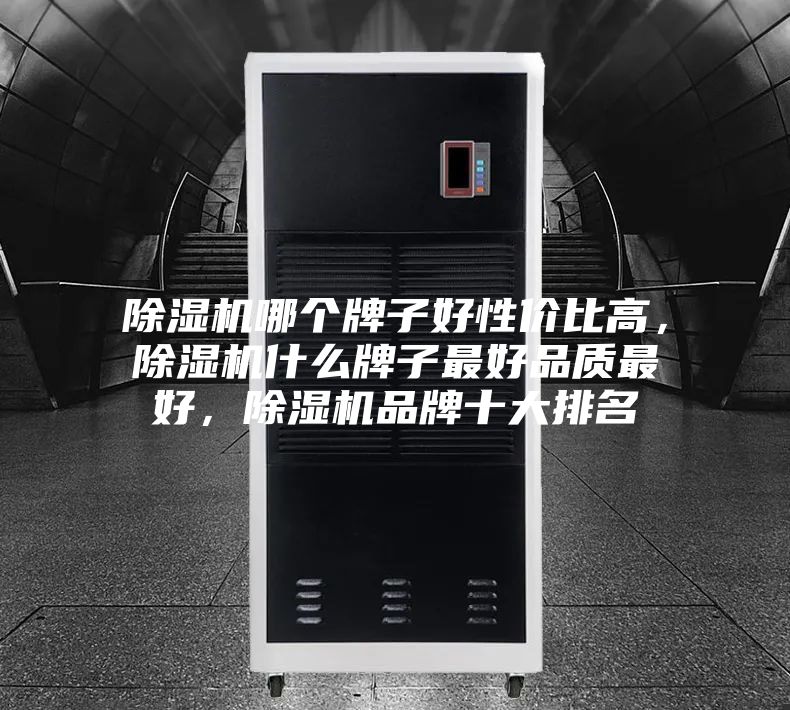 除濕機哪個牌子好性價比高，除濕機什么牌子最好品質最好，除濕機品牌十大排名