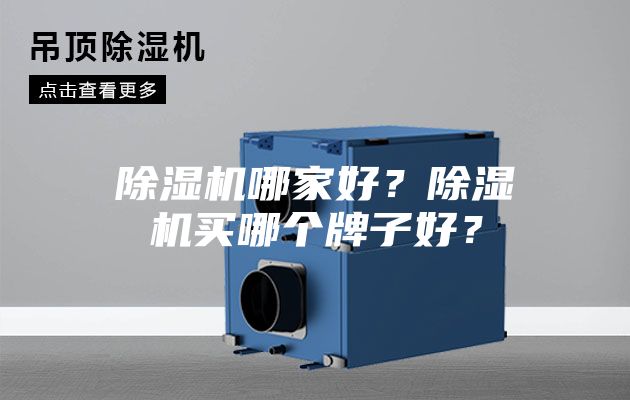 除濕機哪家好？除濕機買哪個牌子好？