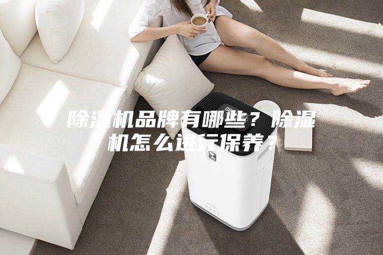 除濕機品牌有哪些？除濕機怎么進行保養？