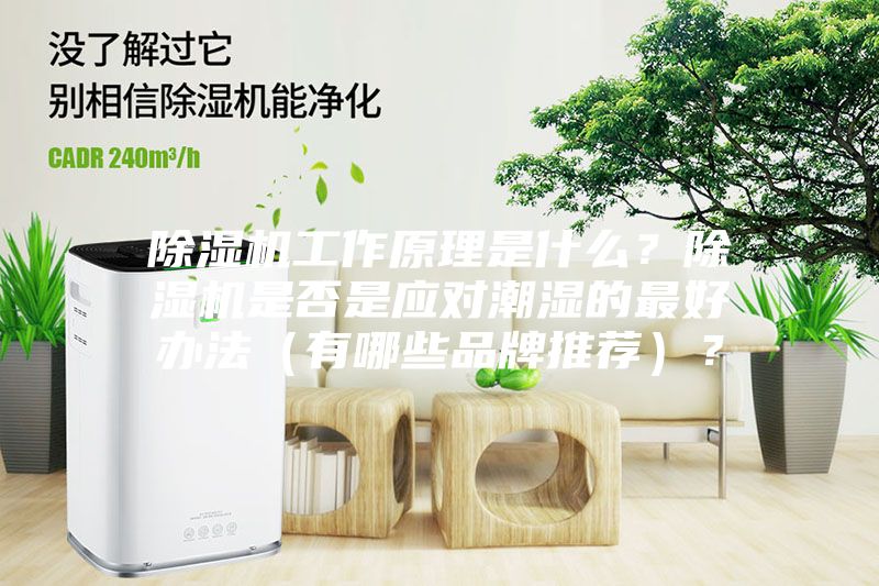 除濕機工作原理是什么？除濕機是否是應對潮濕的最好辦法（有哪些品牌推薦）？