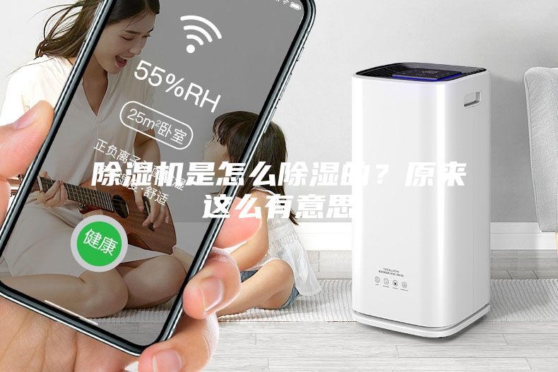 除濕機是怎么除濕的？原來這么有意思