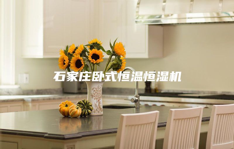 石家莊臥式恒溫恒濕機