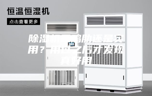 除濕機是雞肋還是實用？用過之后才發現真好用