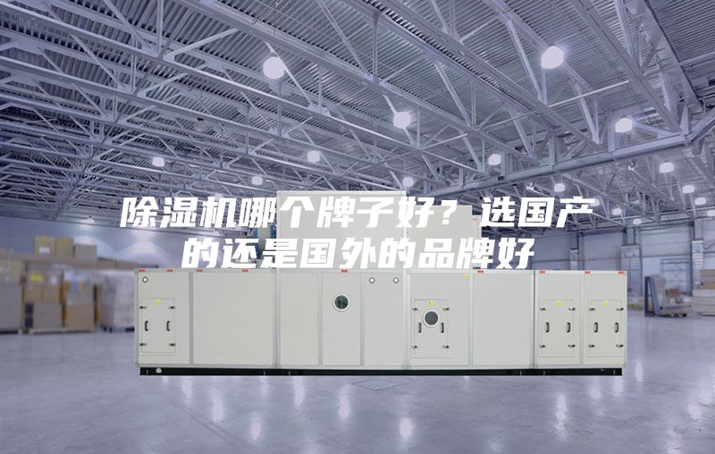 除濕機哪個牌子好？選國產的還是國外的品牌好