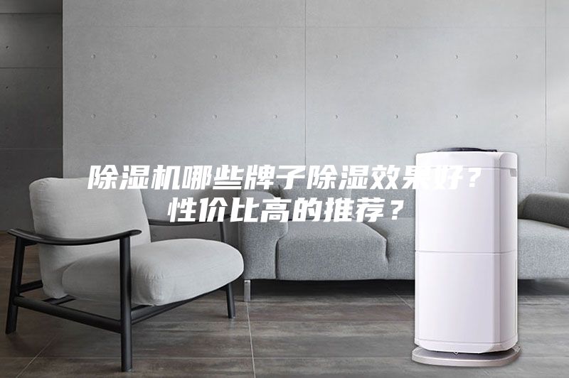 除濕機哪些牌子除濕效果好？性價比高的推薦？