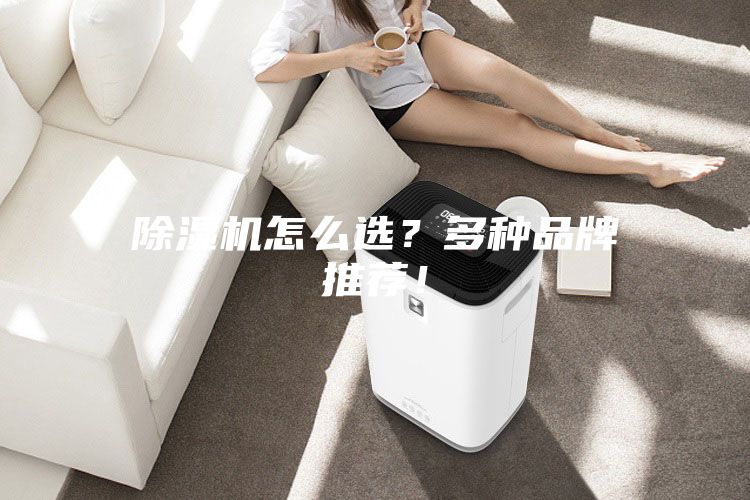 除濕機怎么選？多種品牌推薦！