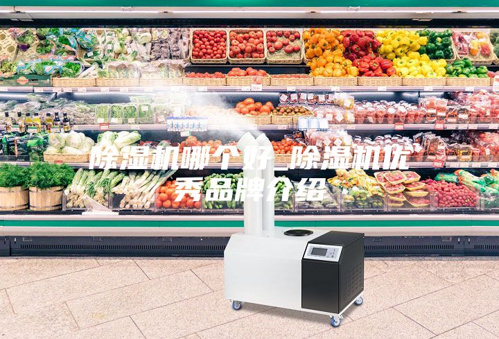 除濕機哪個好_除濕機優秀品牌介紹