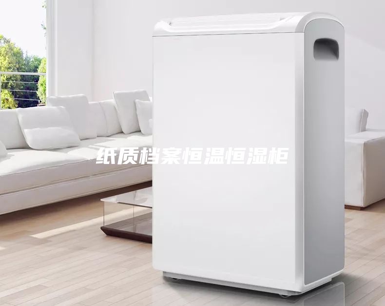 紙質檔案恒溫恒濕柜