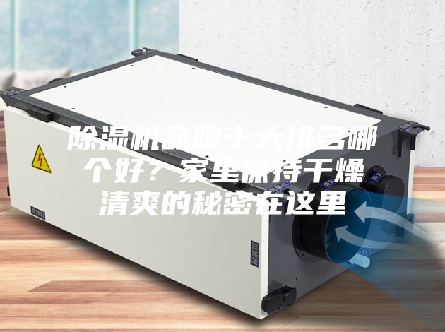 除濕機品牌十大排名哪個好？家里保持干燥清爽的秘密在這里