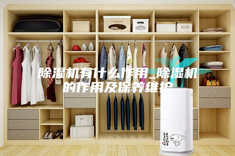 除濕機有什么作用_除濕機的作用及保養維護