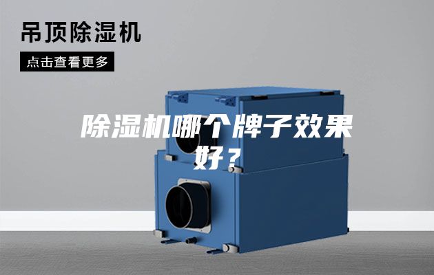 除濕機哪個牌子效果好？