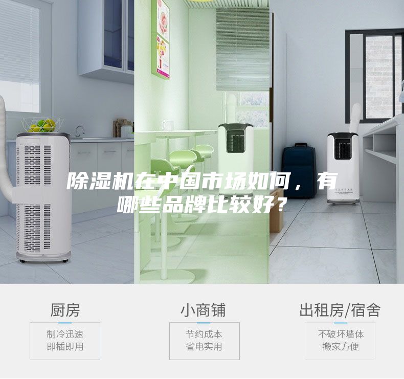 除濕機在中國市場如何，有哪些品牌比較好？
