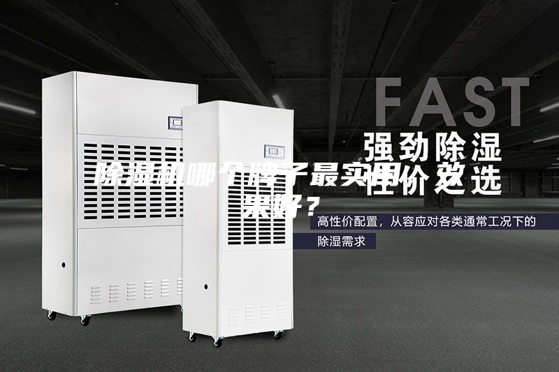 除濕機哪個牌子最實用，效果好？