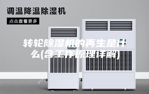 轉輪除濕機的再生是什么(含工作原理詳解)