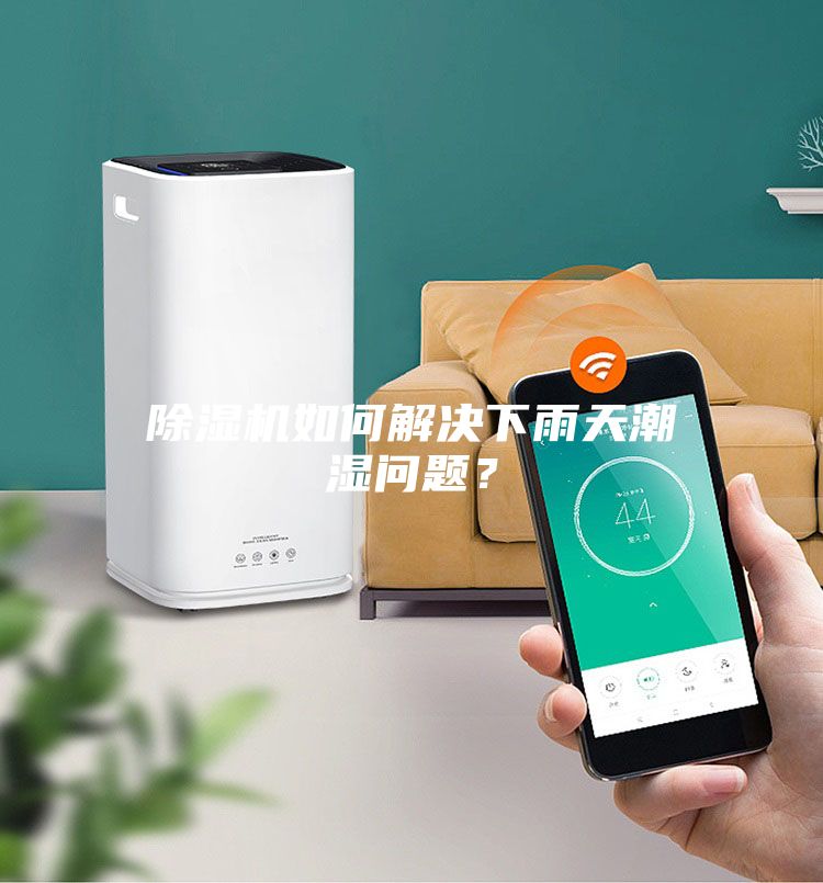 除濕機如何解決下雨天潮濕問題？