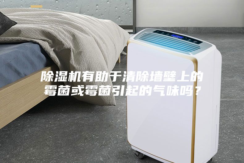 除濕機有助于清除墻壁上的霉菌或霉菌引起的氣味嗎？