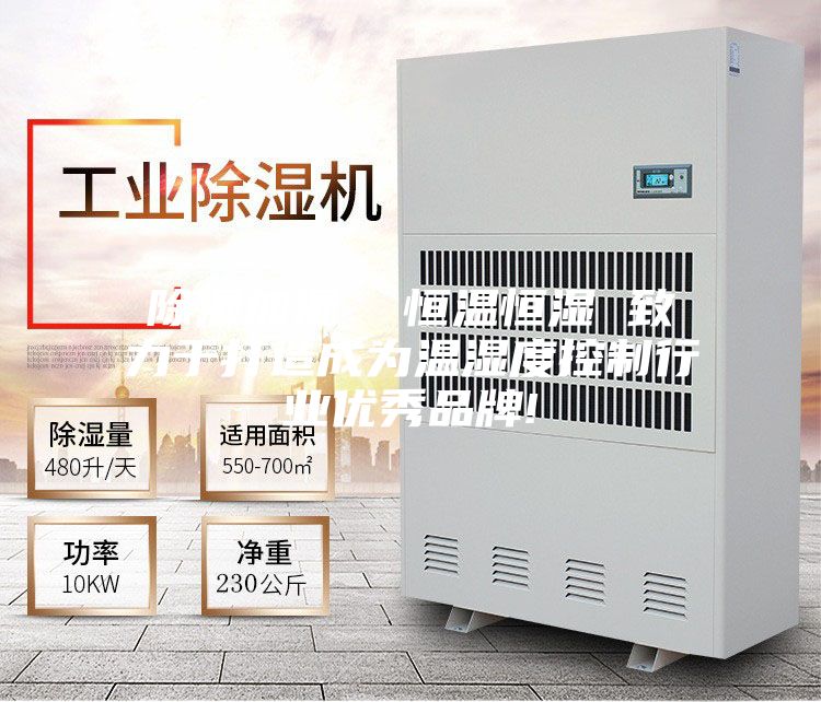 除濕加濕  恒溫恒濕 致力于打造成為溫濕度控制行業優秀品牌!