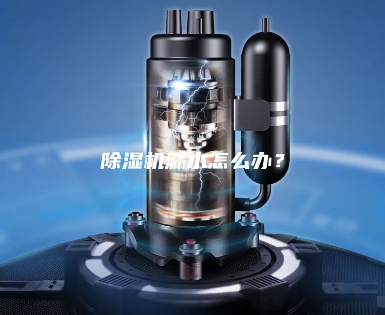 除濕機漏水怎么辦？