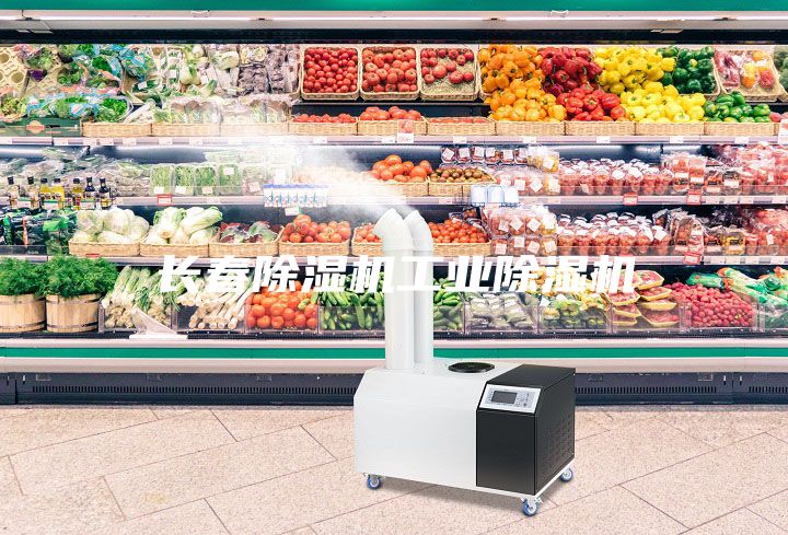 長春除濕機工業除濕機