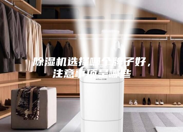 除濕機選擇哪個牌子好，注意事項是哪些