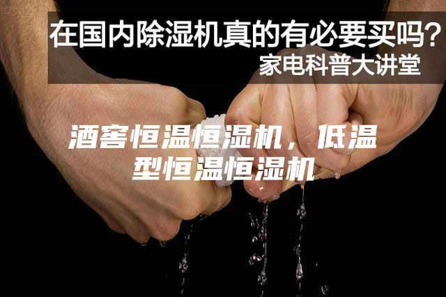 酒窖恒溫恒濕機，低溫型恒溫恒濕機