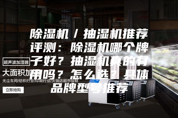 除濕機／抽濕機推薦評測：除濕機哪個牌子好？抽濕機真的有用嗎？怎么選？具體品牌型號推薦